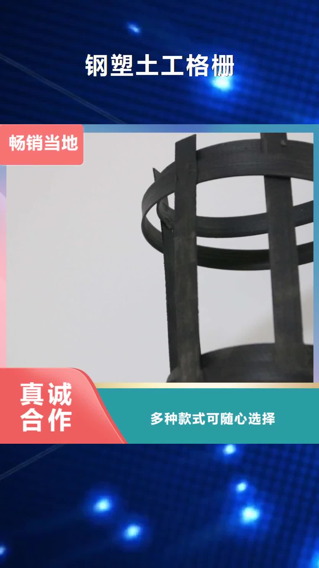 亳州 钢塑土工格栅-【防水土工布厂家】专注质量