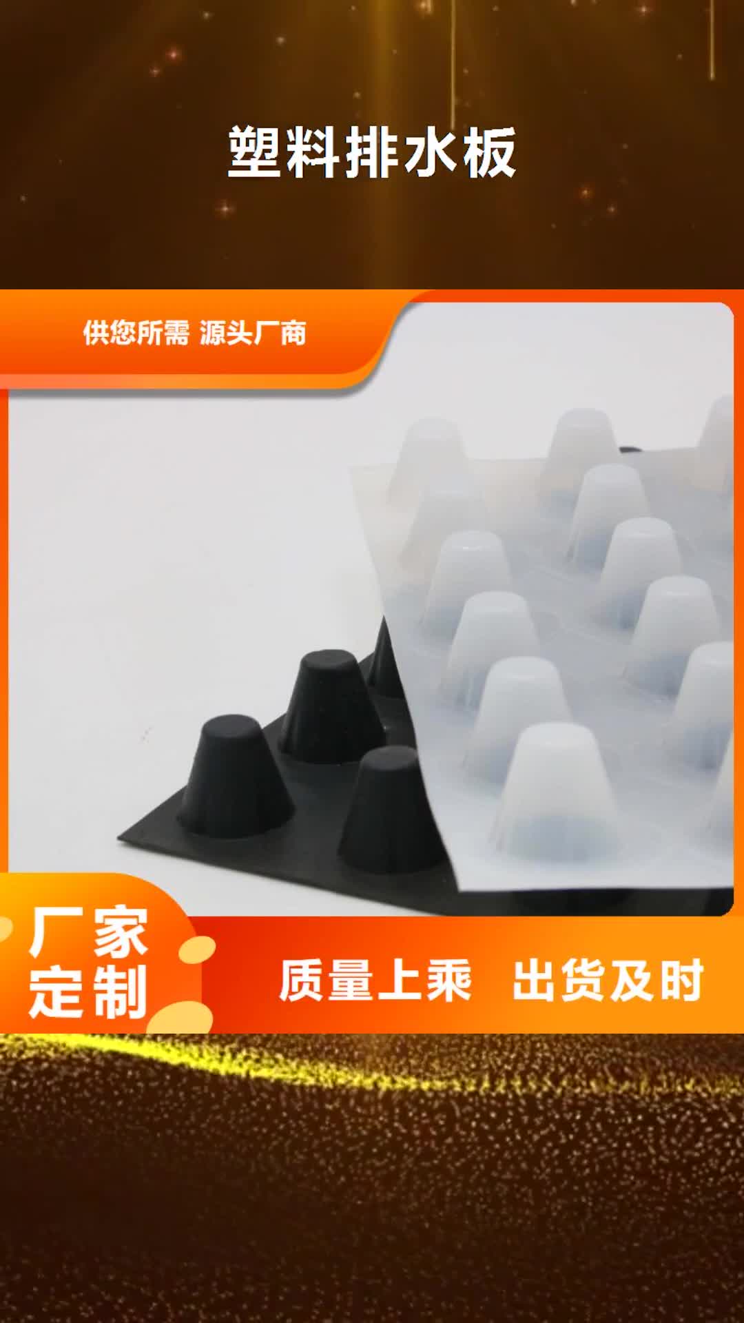 百色 塑料排水板,【短丝土工布】的图文介绍