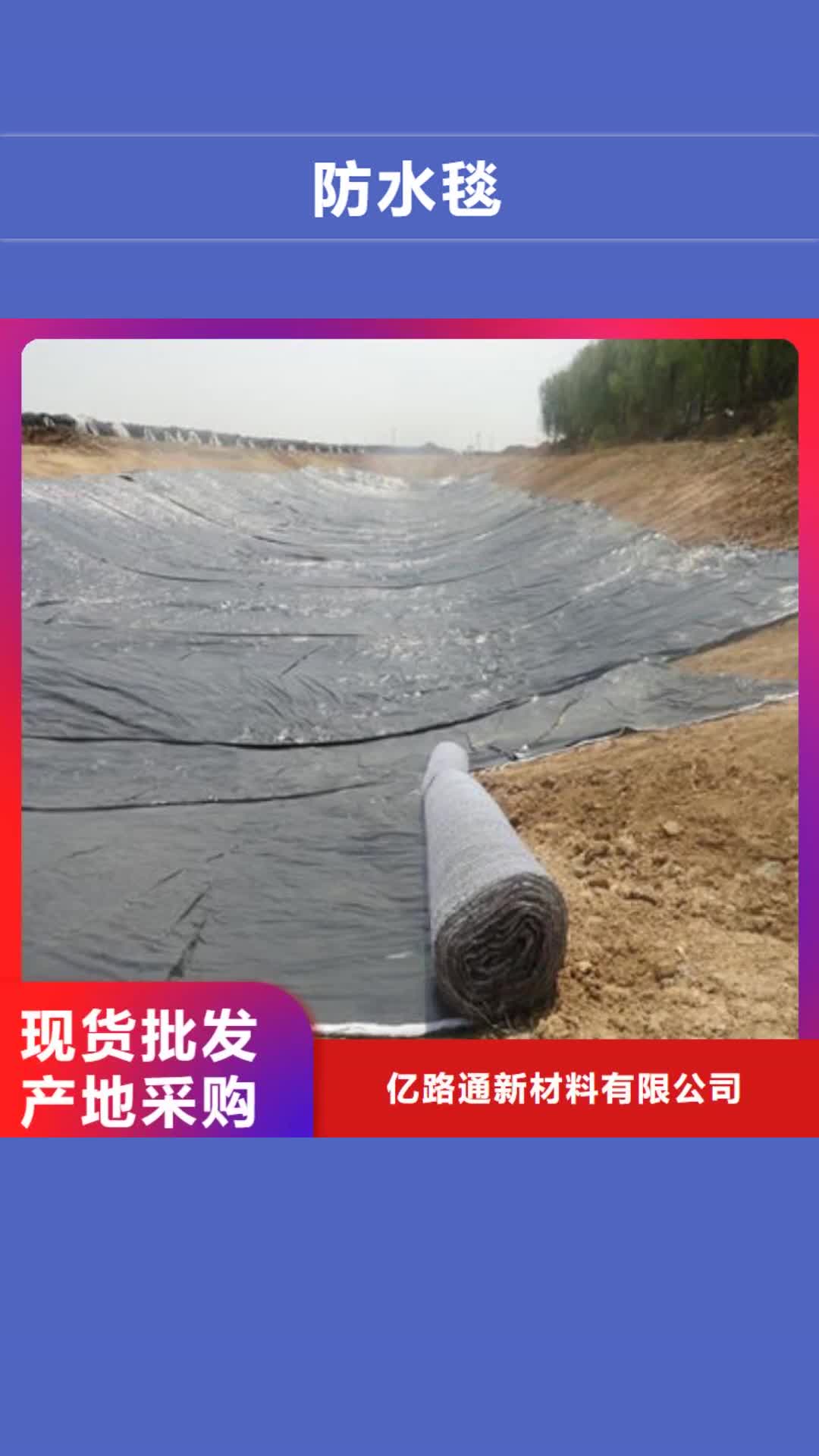 伊犁 防水毯【三维植被网厂家】为您提供一站式采购服务