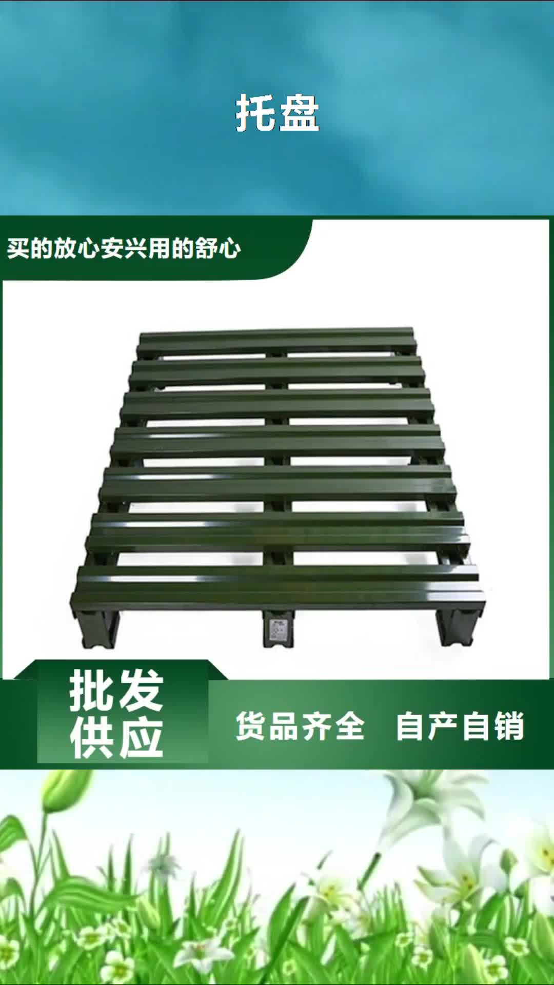 滨州【托盘】-贯通式货架技术先进