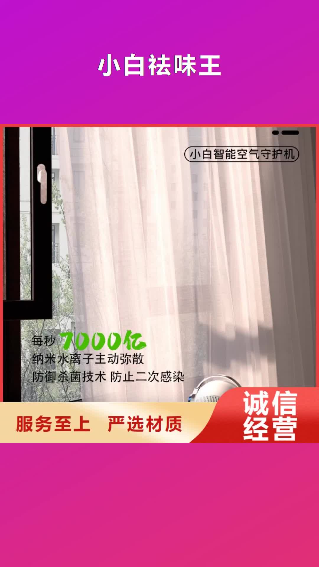 海南 小白祛味王_【室内消毒】厂家经验丰富