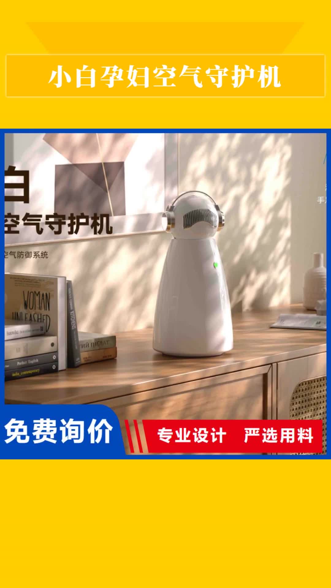 【桂林 小白孕妇空气守护机,空气守护高标准高品质】