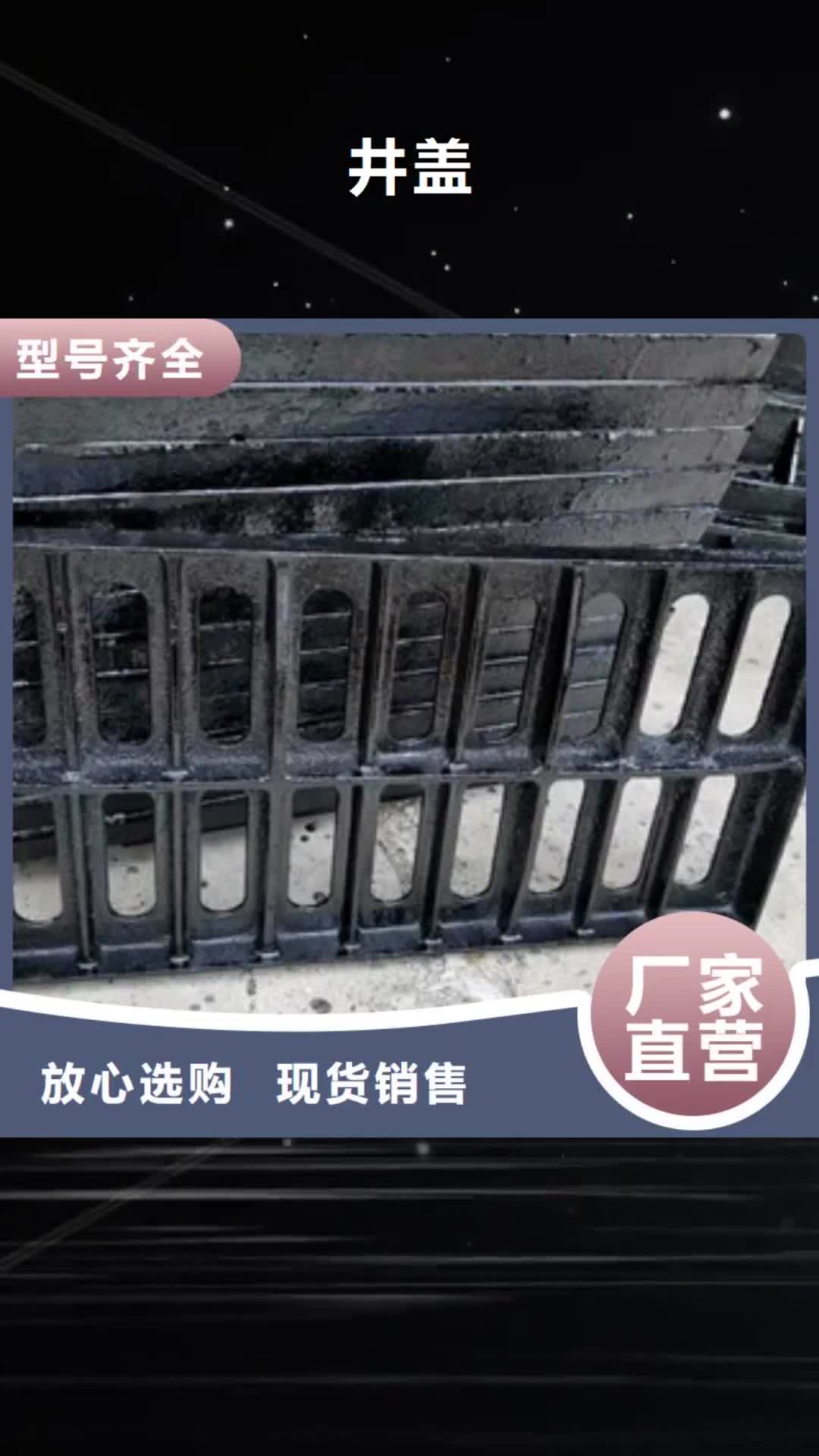 昌都 井盖热销产品